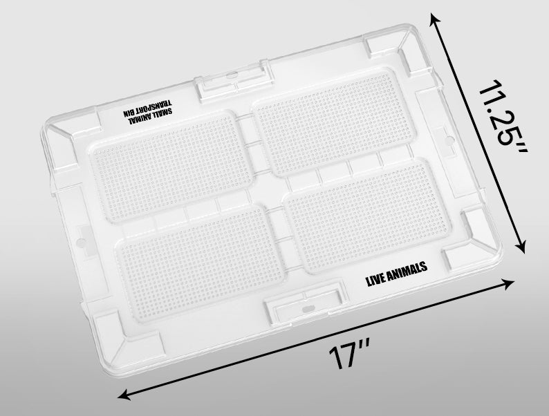 Replacement Small Lid