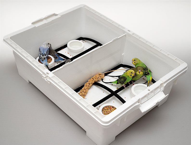 LARGE Animal Transport Bin – Qualpet